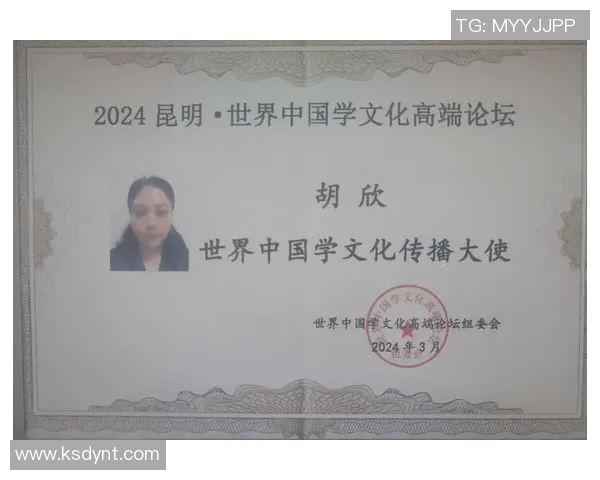 加莱诺的艺术魅力与文化影响力探讨:从历史到现代的深度剖析